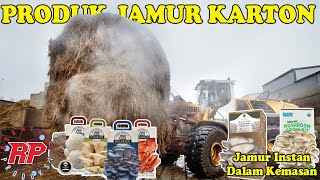 REVOLUSI KULINER! JAMUR KARTON JADI TREN MAKANAN MASA KINI