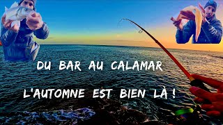 Du bar et du calamar, l’automne est bien là 🍃🌊