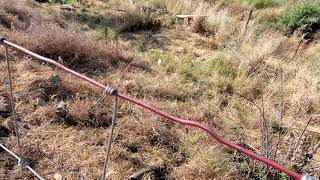 Ghetto irrigation for the goats.