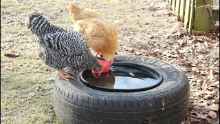 Preventing Livestock Water Containers From Freezing