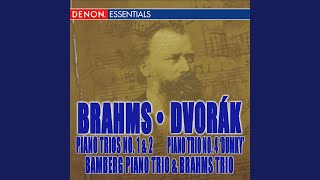 Piano Trio No. 4 "Dumky" in E Minor, Op. 90, B166: IV. Andante moderato - Allegretto scherzando...