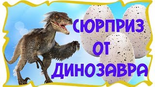 ВИДЕО ДЛЯ ДЕТЕЙ!!!ПУШИСТЫЕ ДИНОЗАВРИКИ!!!ОГРОМНЫЕ ЯЙЦА С СЮРПРИЗАМИ!!!