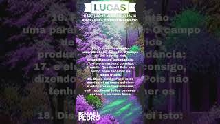 LUCAS C:12 V:16-21 A PARÁBOLA DO RICO INSENSATO  #Palavra_Do_Pai_Todo_Poderoso #deus #jesus