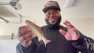 Swimbait talk    #swimbait #bassfishing #fishing #largemouthbass #bass #swimbaitunderground