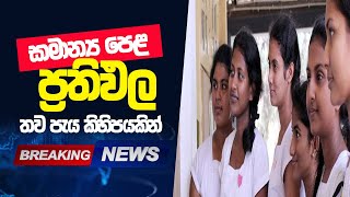 සාමාන්‍ය පෙළ ප්‍රතිඵල තව පැය කිහිපයකින් | G.C.E O/L 2024 result Release Now