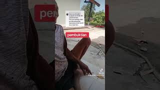 pembuktian padang bata ringan dengan adukan semen pasir ternyata kuat shorts #shorts