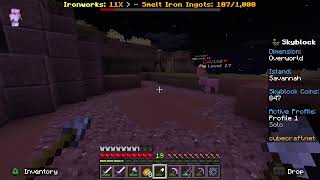 Minecraft skyblock grinding (text chat only rn ppl are sleeping)