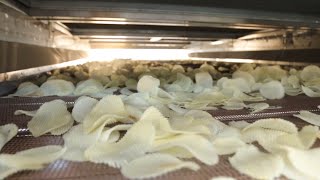 Potato Chips Peeling Slicing Washing Drying machine Dehydrator