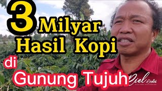 3 Milyar Hasil Kopi di Gunung Tujuh