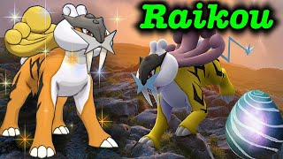 Raikou retorna para RAIDs level 5 | POKEMON GO #LANBR