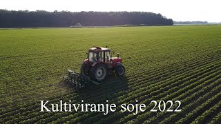 Kultiviranje soje 2022 | 4K | Zetor 9540 & Huđik