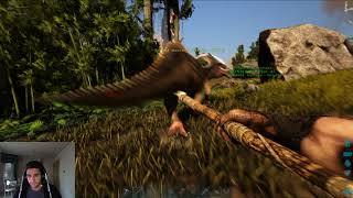 Aprendo a tamear un Dilofosaurio ark survival evolved#3