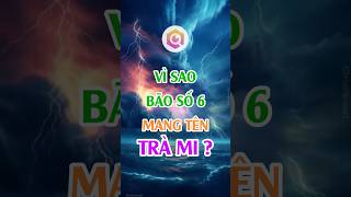 Vì Sao Bão Số 6 Sắp Vào Biển Đông Mang Tên Việt Nam: "Bão Trà Mi"?