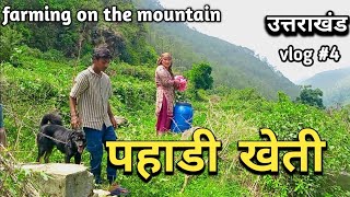 I saw farming on the mountain for the first time😱❤️| indian travoboy | Uttarakhand