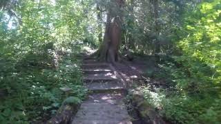 Little Campbell River Hatchery, Surrey, BC, June 2022