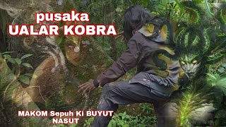 PUSAKA ULAR KOBRA