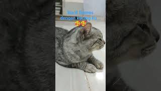 siboy kucing jinak santaii