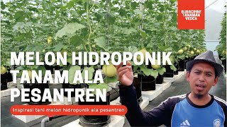 Tanam melon hidroponik di pesantren Al Qodiriyah Cianjur