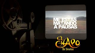 Me Estas Matando A Pausas | El Chapo De Sinaloa (Audio)