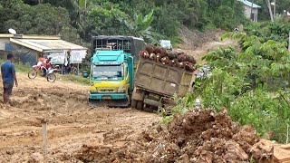 SOPIR TRUK SAWIT NEKAT MAJU WALAU JALANNYA SEMPIT