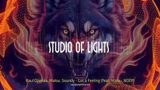 Raul Ojamaa, Malou, Soundy - Got a Feeling (feat. Malou, NOËP) - Mixed by  STUDIO OF LIGHTS