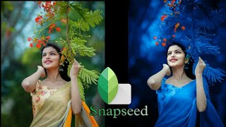 New Snapseed Photo Editing Trick | Snapseed Background Colour Change 2022