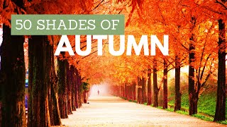 Beautiful Autumn Colors - Relaxing Nature Video - FullHD