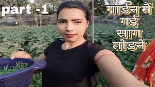 गार्डन मैं गई  साग तोडने || part- 1 || All three of us are plucking greens || Liba Vlog || bhabhiji