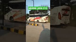 Bus Murni Jaya || 212 #shorts #busmaniacomunity #videobus #murnijayalovers #storybus#hunting