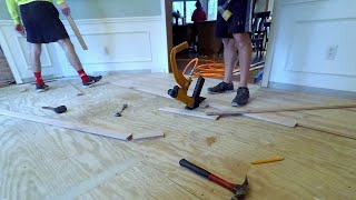 Hardwood Floor Install | February 2021 | GoPro Timelapse