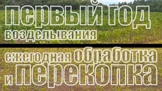 Эксперимент. Две почвы