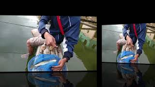 Mancing ikan nila #nyoba mancing di danau toba#