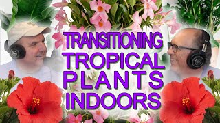 Transitioning Your Tropical Treasures: Prep Your Tropical Plants for the Indoors