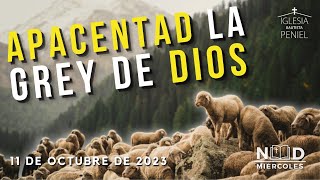 Apacentad la grey de Dios | NDM | 11/10/2023