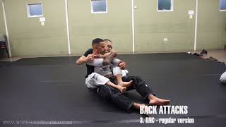 Back Attacks: Grip exchanging, body triangles and the RNC