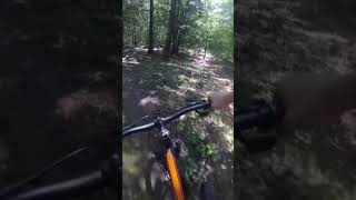 Amazing mountain bike downhill flow trail #shorts #mtb