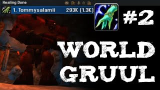 TBC Classic - #2 World Parse Resto Shaman Healer Gruul