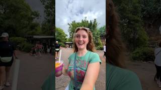 the TRUTH about being a wdw annual passholder #disneyworld #disneyvlog