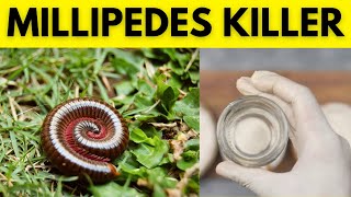 Kick Millipedes Out the Natural Way Tips and Tricks for Keeping Your Home and Garden Millipede Free