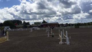 Akysha on Milo Robbie Bailey Irish Pony Club Nationals Mullingar 2017 2nd round