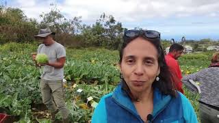 Visite en bord de champ en Agriculture Biologique