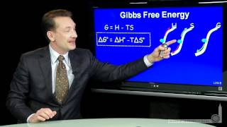 Gibbs Free Energy