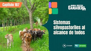 Cap 107 - Sistemas silvopastoriles al alcance de todos  #manualpracticoganadero