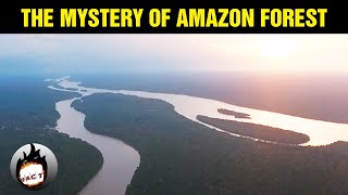 The Mystery of Amazon Forest