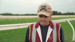 Trackwork | Ascot