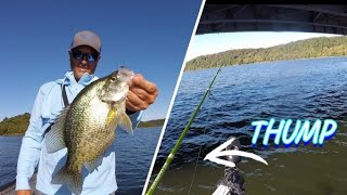 BRIDGE Saves the Day | TIPS To CATCH SLABS