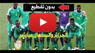 مشاهدة مباراة الجزائر والسنغال بث مباشر اليوم