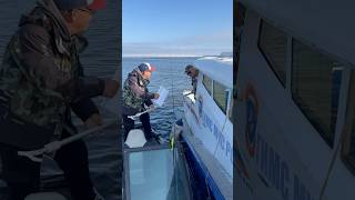 Крутой )))…ГИМС на Рыбинке в Борке #рыбалка #fishing #boating