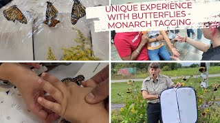 Monarch Butterfly Tagging and Releasing | Monarch Tagging Ontario