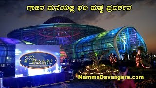 Flower Show in Davangere Glass House ನಮ್ಮ ದಾವಣಗೆರೆಯ ಗಾಜಿನ ಮನೆಯಲ್ಲಿ ಫಲ ಪುಷ್ಪ ಪ್ರದರ್ಶನ NammaDavangere